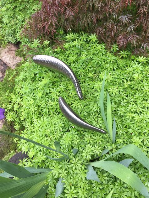 Stainless Steel Fish Sculpture For Garden Landscape Welded Etsy Uk