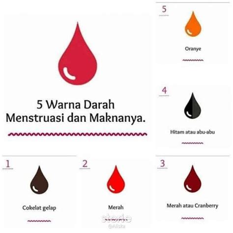 Kenali Warna Darah Menstruasi Anda Sejak Dini Kover Magazine