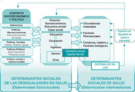 Marco Conceptual De Los Determinantes Sociales De La Salud Según La Oms Images And Photos Finder