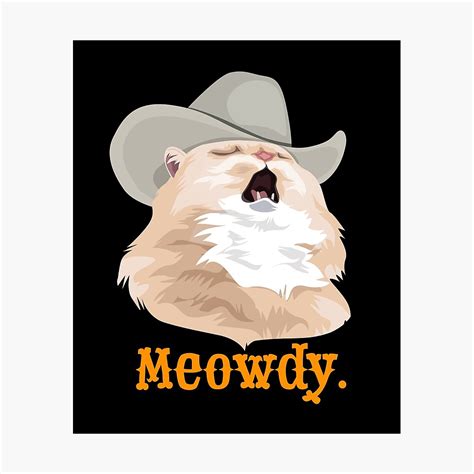 Cat With Cowboy Hat Meme Ubicaciondepersonascdmxgobmx