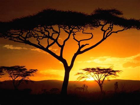 Africa Sunset Wallpapers High Definition | African sunset, Africa ...