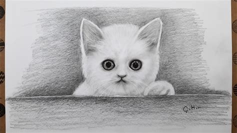 Karakalem Kedi Resmi Adım Adım Nasıl Çizilir Çizim Hobimiz Hayvan Çizimleri Easy Cat Drawing