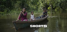 SHORTS: THE NEW ENVIRONMENTALISTS – Mill Valley Film Festival