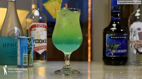 15 Best Hpnotiq Cocktails To Drink MyBartender