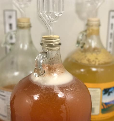 Adventures In Diy Cider Fermentation Everything You Need To Know