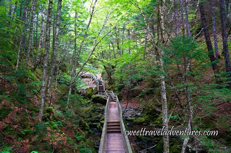 Discovering Unique Nature Parks In New Brunswick Sweet Travel Adventures