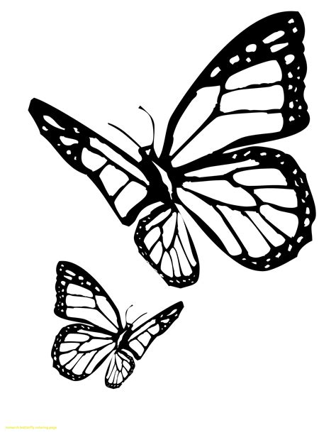 Monarch Butterfly Vector At Getdrawings Free Download