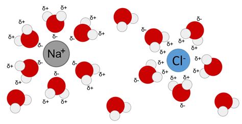 Chapter 2 The Chemical Context Of Life Introduction To Molecular And