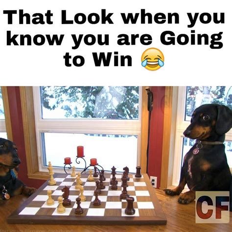 Post Chess Memes Here Chess Forums