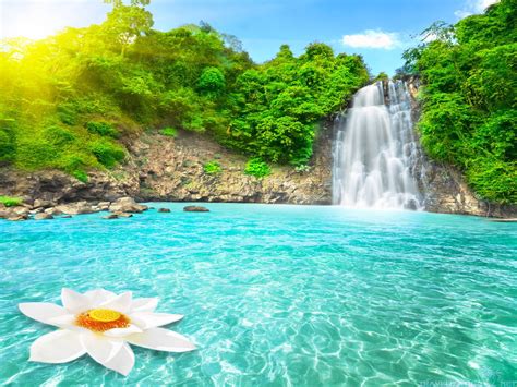 The Meaning And Symbolism Of The Word Paradise