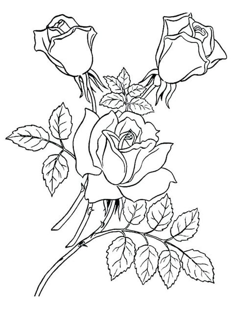 Coloring Pages Free Rose Coloring Pages For Kids