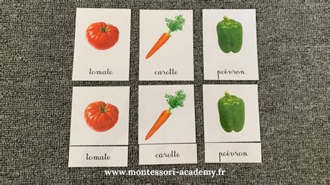 Comment Utiliser Les Cartes De Nomenclatures Montessori Academy