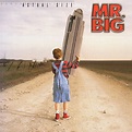 MR. BIG/ACTUAL SIZE アクチュアル・サイズ 国内初回限定盤 特典付き | AMERICAN,2000年以降 | Ken’s ...