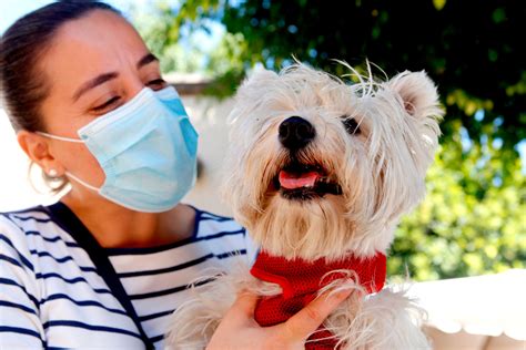 Pets In A Pandemic: What Our Dogs Say About Us | 1A