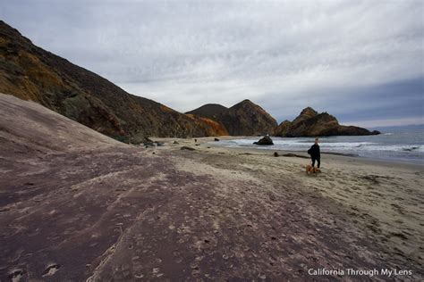 Pfeiffer Beach In Big Sur Purple Sand Sea Caves And Dog Friendly