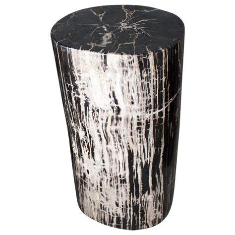 Petrified Wood Tree Trunk Side Table From Indonesia At 1stdibs