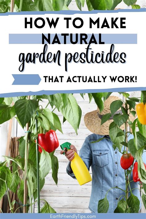 How To Make Natural Garden Pesticides Earth Friendly Tips