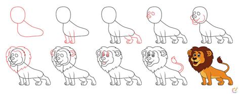 How To Draw Lion Step By Step For Kids And Beginners