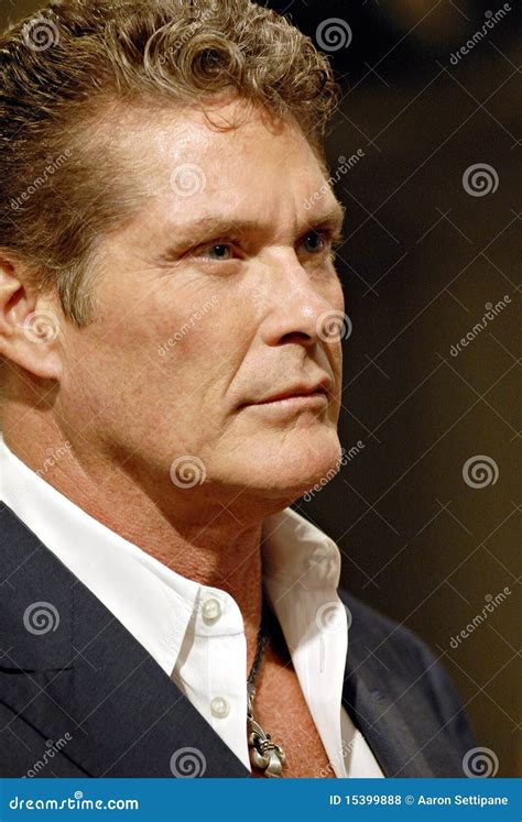 David Hasselhoff Appearing Live Editorial Stock Photo Image 15399888