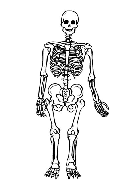 Printable Skeleton Coloring Pages Customize And Print