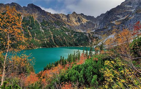 Lake Morskie Oko Tatras Poland Plants Landscape Sky Mountains