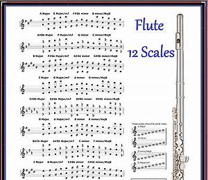 Flute Chart 12 Scales Every Note In Any Key Ebay