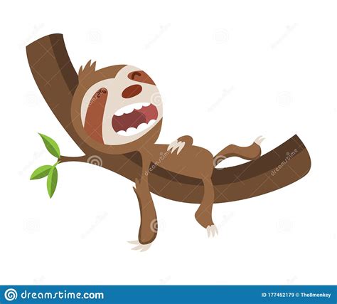 Cute Baby Sloth Sleeping On Branch Vector Funny Sloth Illustration For