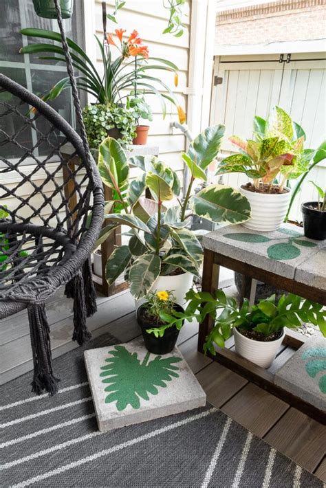 How To Care For Your Stunning Variegated Rubber Plant