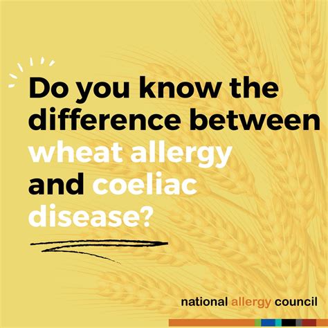 Wheat Allergy And Coeliac National Allergy Council