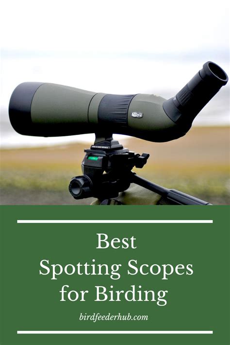 The 11 Best Spotting Scopes For Bird Watching 2023 Artofit