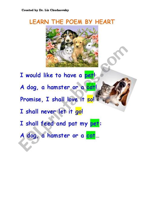 Pets Poem Esl Worksheet By Chud