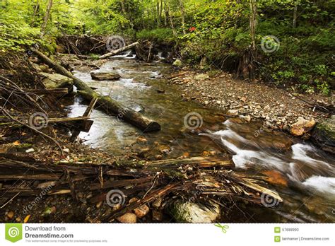 New England Stream Stock Image Image Of Trees Exposure 57688993