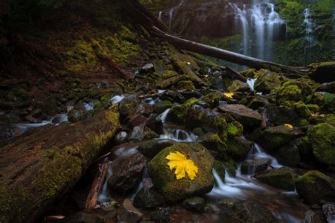 Proxy Waterfall Eugene Cascades And Oregon Coast