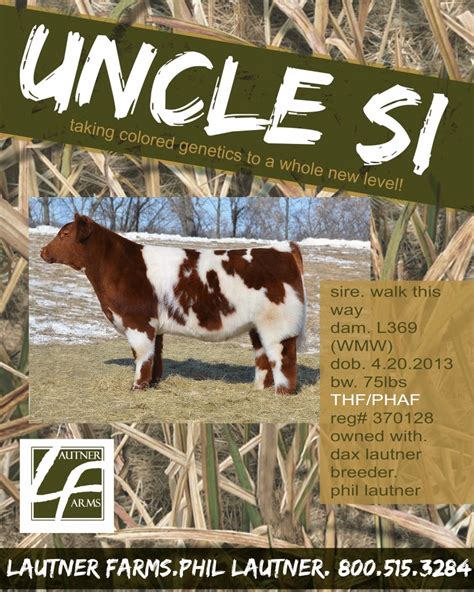 don t forget about the lautner farms semen sale on show cattle connections opens up tomorrow
