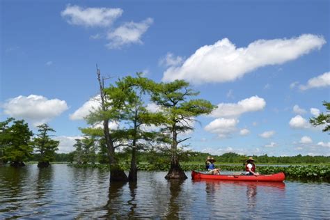 Reelfoot Lake State Park Updated April 2024 120 Photos And 11 Reviews