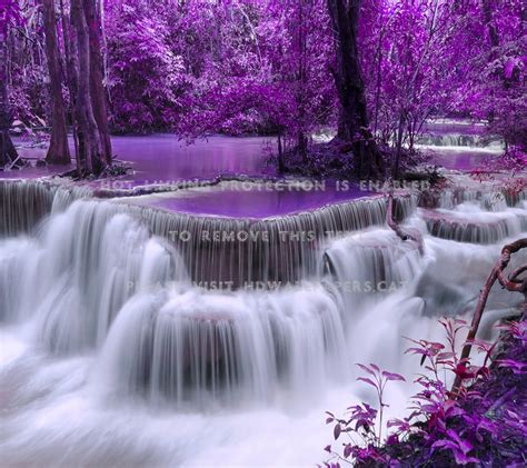 Purple Forest Nature River White Beautiful 1744076