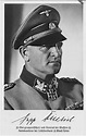 SS-Oberstgruppenführer (Colonel General) Josef