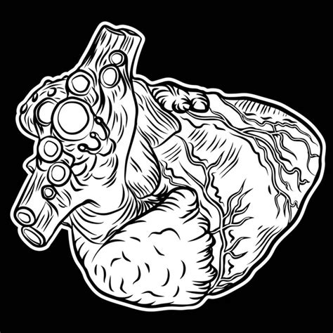 Human Heart Hand Drawn Flesh Tattoo Concept Of Heart Symbol Of Love Feelings Energy