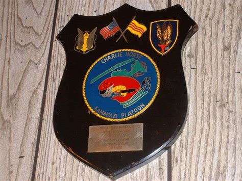 Vietnam Helicopter Insignia And Artifacts C Troop 3rd Squadron 17th
