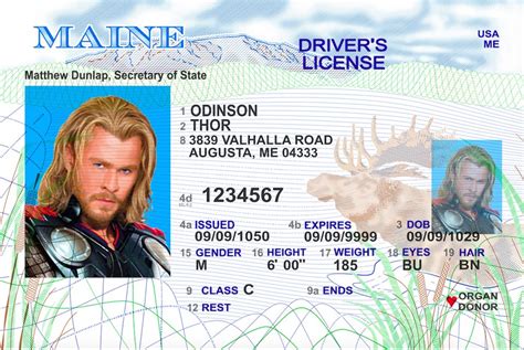 Maine Me Drivers License Id Viking
