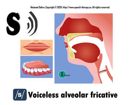 Speech Therapyca Phonetic Animation