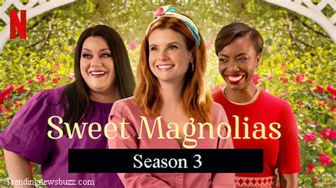 Sweet Magnolias Season 3 Release Date Cast And More Droidjournal