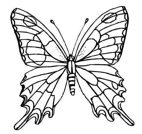 Cool Butterfly Coloring Pages
