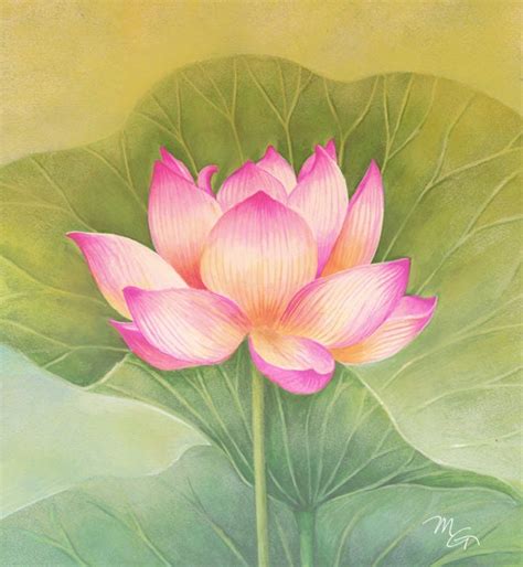 Pink Lotus Flower Watercolor Painting Art Print Children Art Etsy