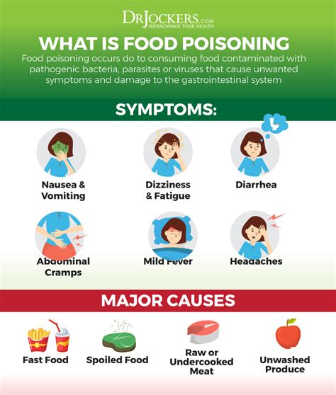 Read about the types of food poisoning, from bacterium infection from campylobacter, salmonella, and shigella to e. Food Poisoning: Causes, Symptoms & Support Strategies ...