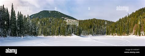 Snowy Meadow In Spruce Forest Location Lake Synevyr Ukraine Frozen In