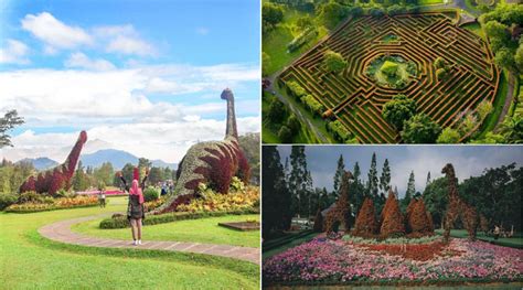 taman bunga nusantara objek wisata penuh bunga di cianjur yang instagramable banget banyak