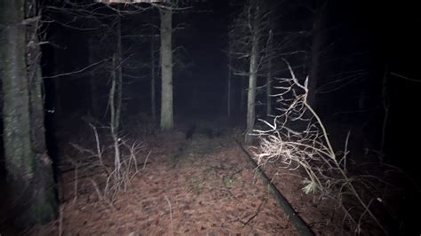 Lost And Walking In Scary Nighttime Woods Running