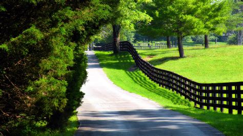 Road Between Green Grass Slope Field Fence Trees With Sunrays Hd Nature