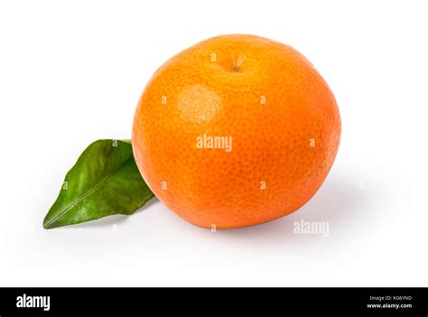 Mandarin Tangerine Citrus Fruit Isolated On White Background Stock